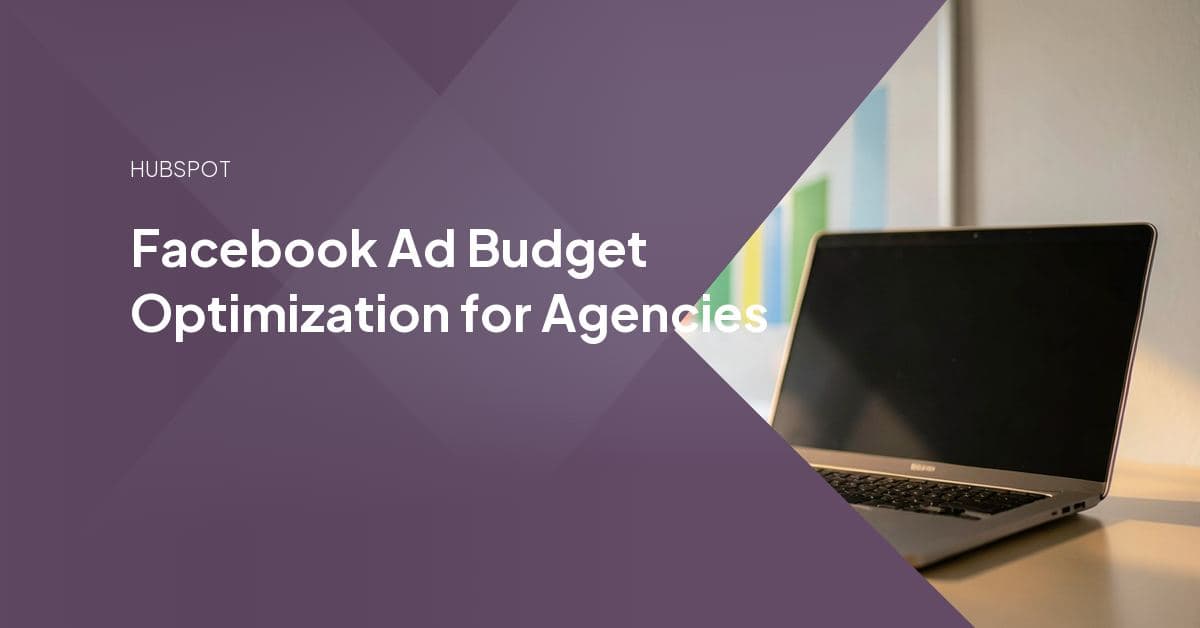 A Facebook Ads Manager budget panel showing the daily versus lifetime budget toggle alongside bid strategy and delivery settings.