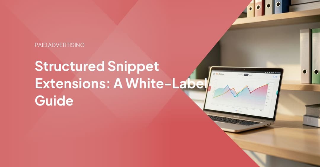 Structured Snippet Extensions: A White-Label Guide